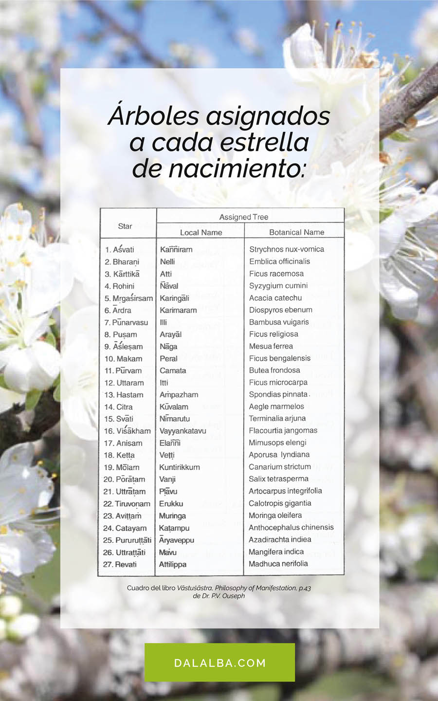 árboles asignados a cada estrella de nacimiento